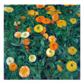 Poster Koloman Moser Marigolds (Voorkant)