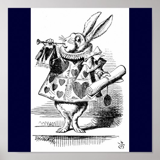 Poster konijn (Voorkant)