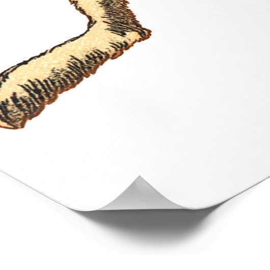 Poster konijnen en katten (Hoek)