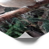 Poster Kookaburra (Hoek)