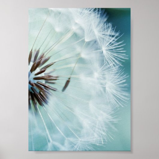 Poster - Koolblauw (Voorkant)