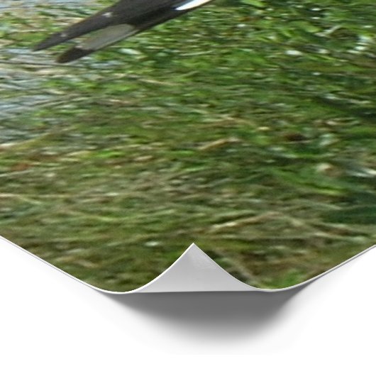 Poster - Kop naar beneden (Hoek)