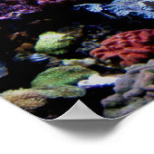 poster - koraalrif (Hoek)