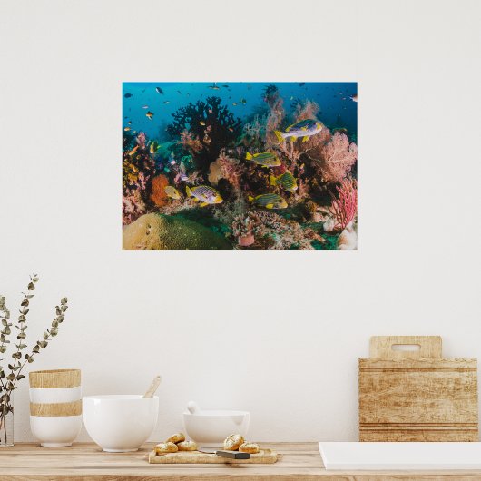 Poster koraalrif (Keuken)