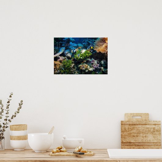 Poster koraalrif (Keuken)