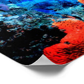 Poster koraalrif (Hoek)