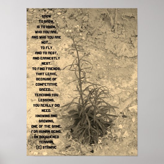 POSTER KUNST EN DESIGN STIJL (Voorkant)