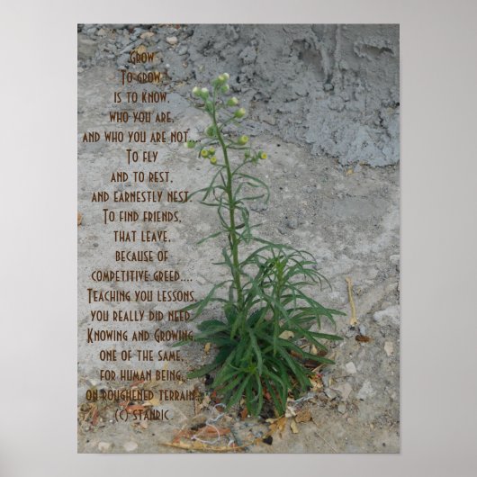 POSTER KUNST EN DESIGN STIJL (Voorkant)