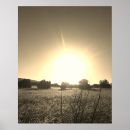 POSTER KUNST EN DESIGN STIJLEN