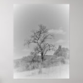 POSTER KUNST EN DESIGN STIJLEN (Voorkant)