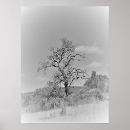 POSTER KUNST EN DESIGN STIJLEN