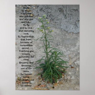 POSTER KUNST EN DESIGN STIJLEN