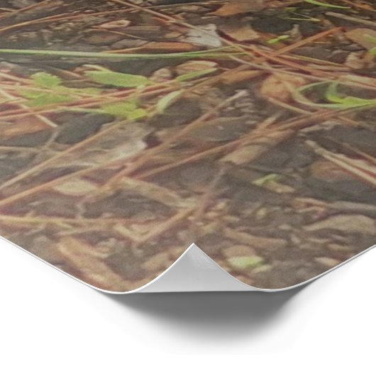 POSTER KUNST EN DESIGN STIJLEN (Hoek)