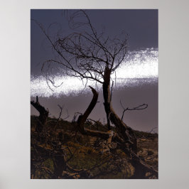 POSTER KUNST EN DESIGN STIJLEN