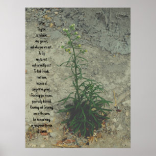 POSTER KUNST EN DESIGN STIJLEN