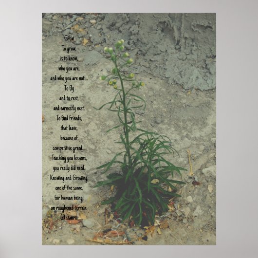 POSTER KUNST EN DESIGN STIJLEN (Voorkant)