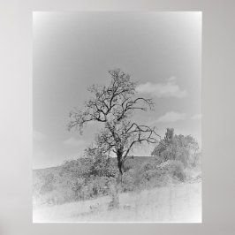 POSTER KUNST EN DESIGN STIJLEN