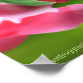 Poster kunst schattige lieveheersbeestje en snap d (Hoek)