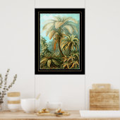 Poster kunstenaar Ernst Haeckel Filicinae (Keuken)