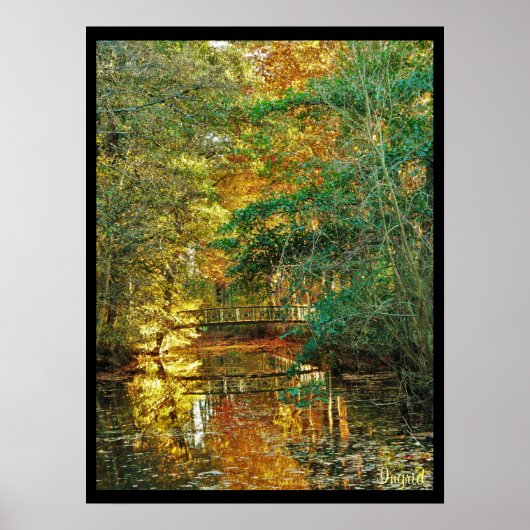 poster kunstfoto automne pont sous bois rivière (Voorkant)