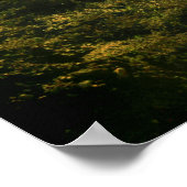 Poster kustreflecties (Hoek)