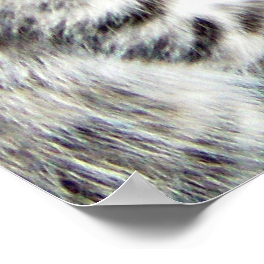 Poster kutjes (Hoek)