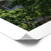 Poster La Pedrera (Hoek)