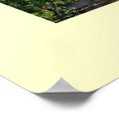 Poster La Pedrera (Hoek)