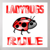 POSTER LADYBUGS REGLE (Voorkant)