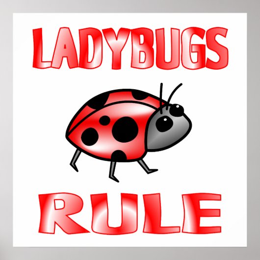 POSTER LADYBUGS REGLE (Voorkant)