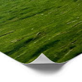 Poster Lancaster County Pennsylvania USA - P... (Hoek)