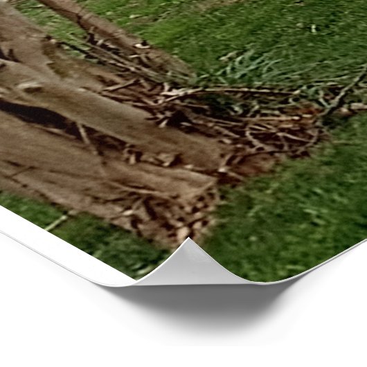 Poster Landscape design  (Hoek)