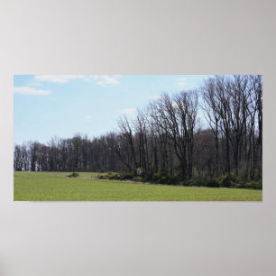 Poster Landschap foto