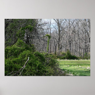 Poster Landschap foto