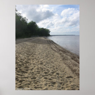 poster "Langs het strand"