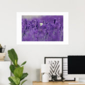 Poster Lavender Field (Thuiskantoor)