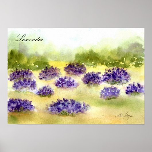 Poster lavender Planten (Voorkant)