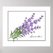 Poster-Lavender Poster (Voorkant)
