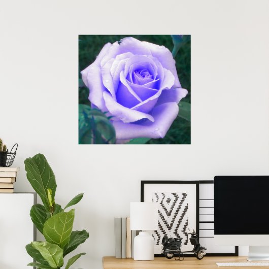 Poster lavender Roos (Thuiskantoor)