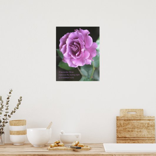 Poster lavender Roos: ROOS & PROSE 16x20 (Keuken)