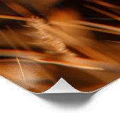 Poster Leão de Judá (Hoek)