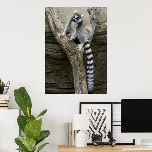 Poster Lemur (Thuiskantoor)