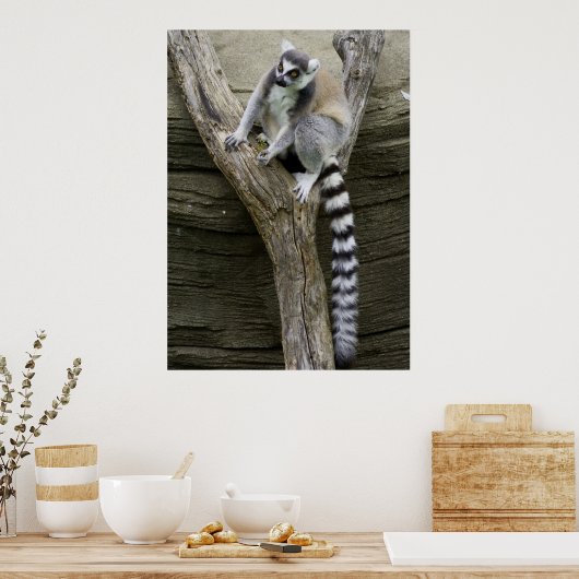 Poster Lemur (Keuken)