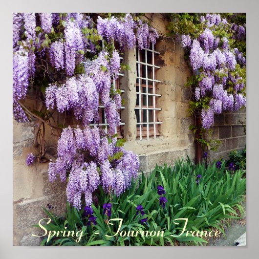 POSTER - Lente - Tournon Frankrijk (Voorkant)