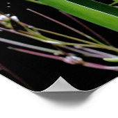 Poster lenteslip (Hoek)