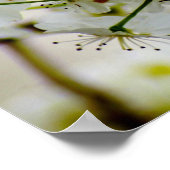 Poster lentetbomen (Hoek)