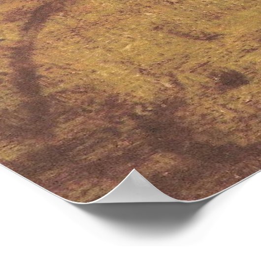 Poster Leonard de Vinci _ La Scapigliata (Hoek)