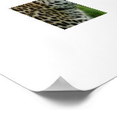 Poster Leopard (Hoek)