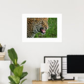 Poster Leopard (Thuiskantoor)