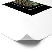 Poster Leopard (Hoek)